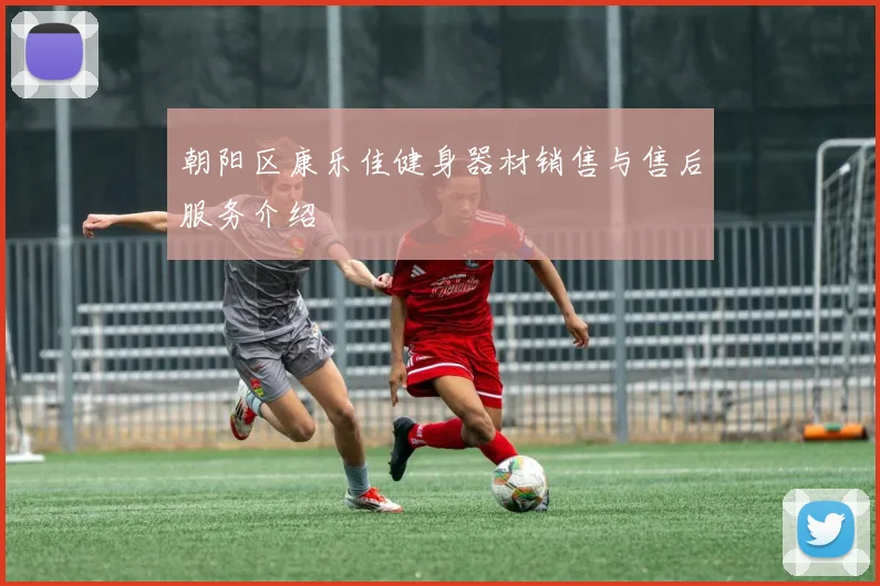 朝阳区康乐佳健身器材销售与售后服务介绍