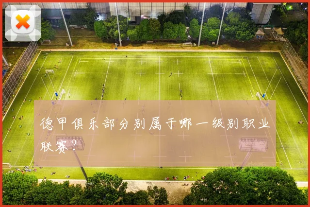 德甲俱乐部分别属于哪一级别职业联赛？