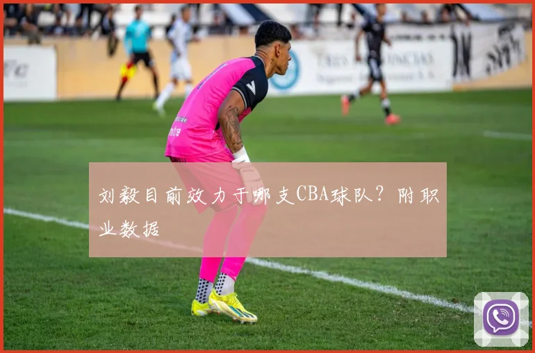 刘毅目前效力于哪支CBA球队？附职业数据