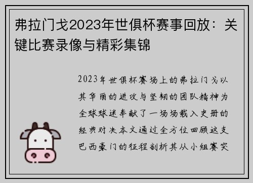 弗拉门戈2023年世俱杯赛事回放：关键比赛录像与精彩集锦